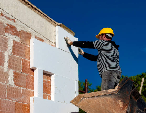 Best Geographic-Specific Insulation Services in Adelanto, CA